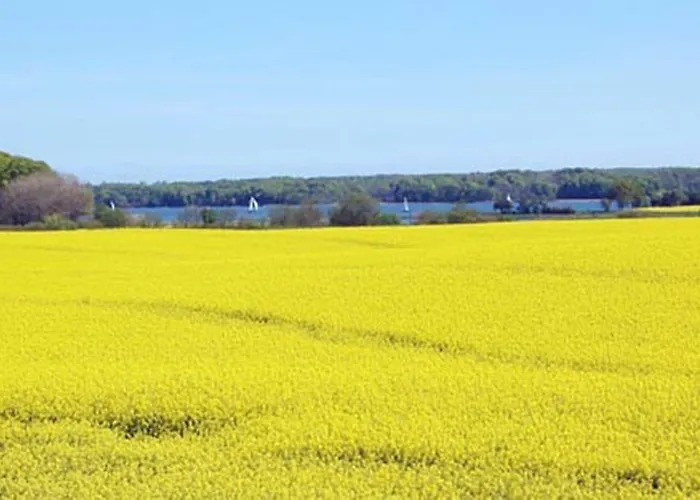 Angler Hof Hotel Süderbrarup